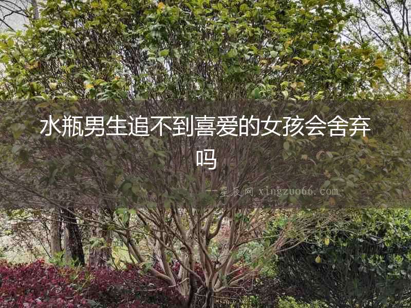 水瓶男生追不到喜愛的女孩會舍棄嗎