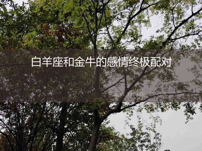 白羊座和金牛的感情終極配對