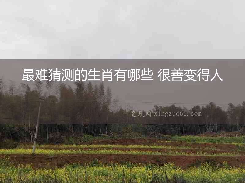 最難猜測的生肖有哪些 很善變得人