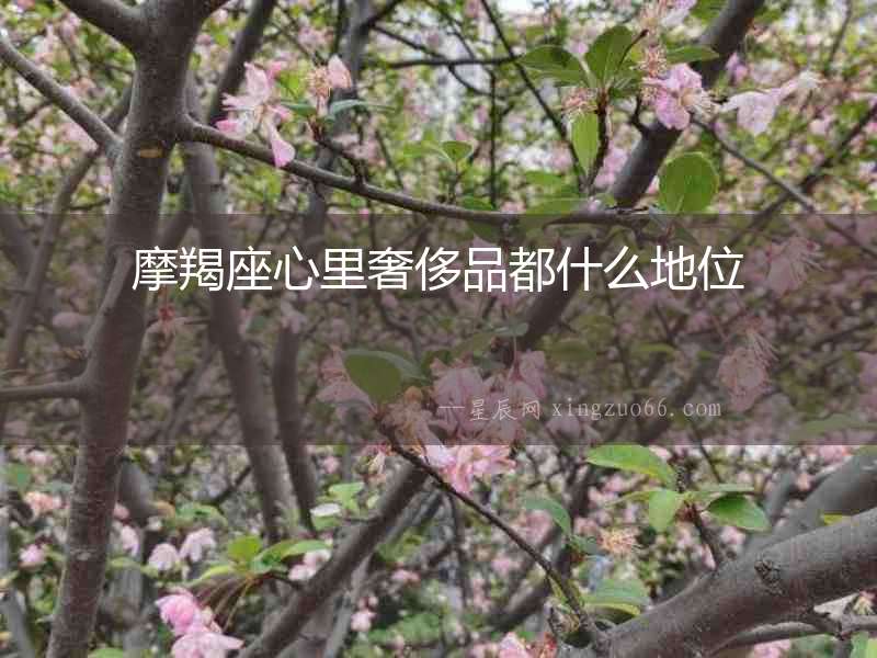 摩羯座心里奢侈品都什么地位