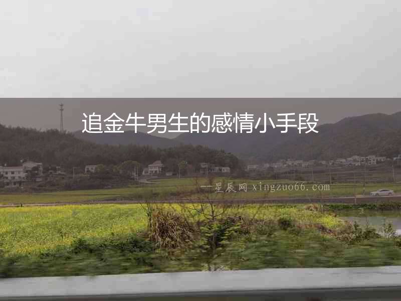 追金牛男生的感情小手段