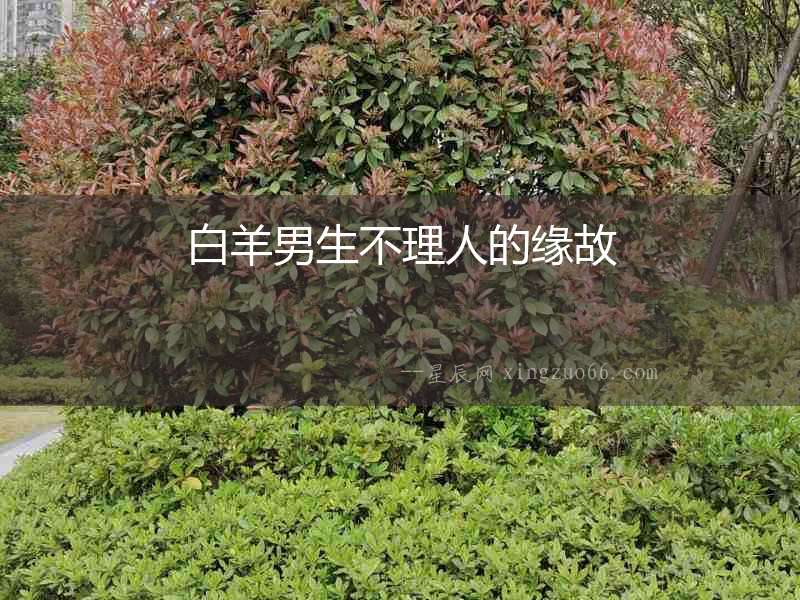 白羊男生不理人的緣故
