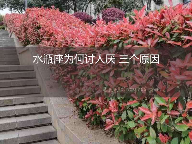 水瓶座為何討人厭 三個(gè)原因