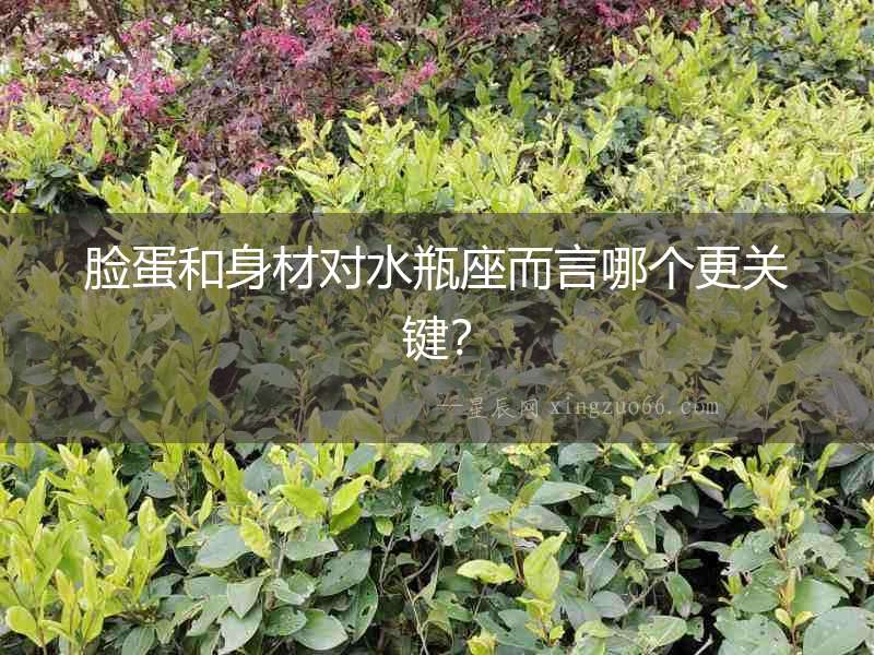 臉蛋和身材對(duì)水瓶座而言哪個(gè)更關(guān)鍵？