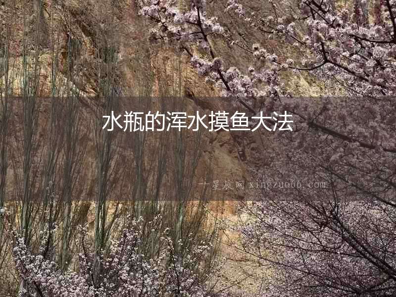 水瓶的渾水摸魚大法