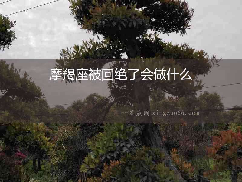 摩羯座被回絕了會(huì)做什么