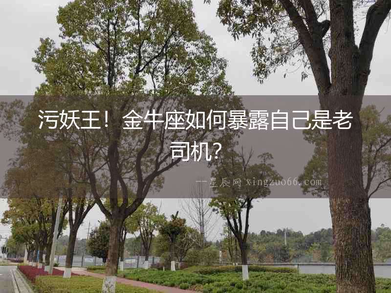 污妖王！金牛座如何暴露自己是老司機？