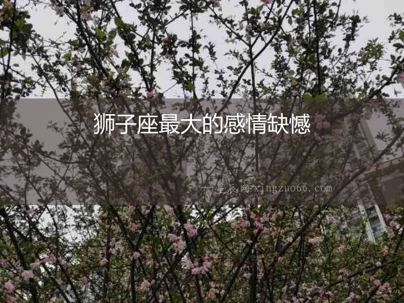 獅子座最大的感情缺憾