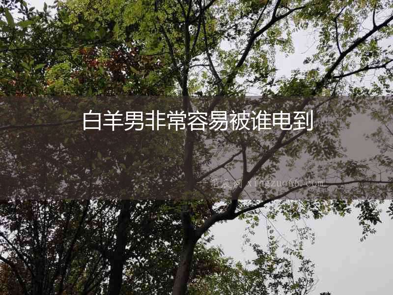 白羊男非常容易被誰電到