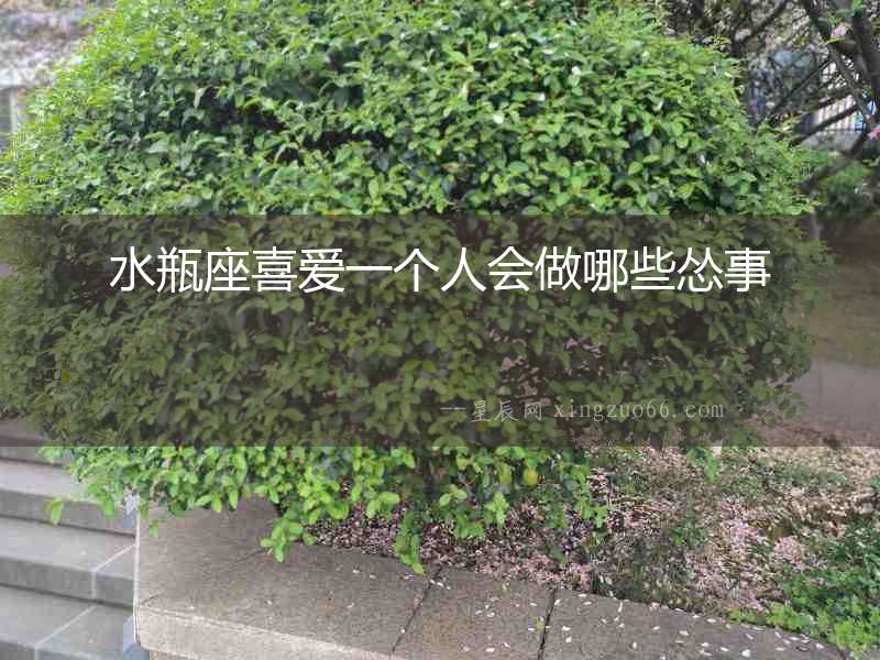 水瓶座喜愛一個人會做哪些慫事