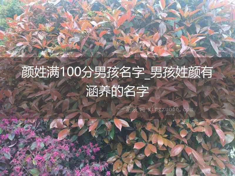 顏姓滿100分男孩名字_男孩姓顏有涵養的名字