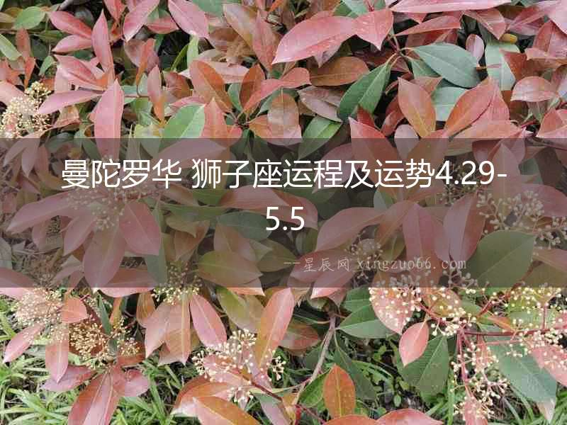 曼陀羅華 獅子座運(yùn)程及運(yùn)勢4.29-5.5