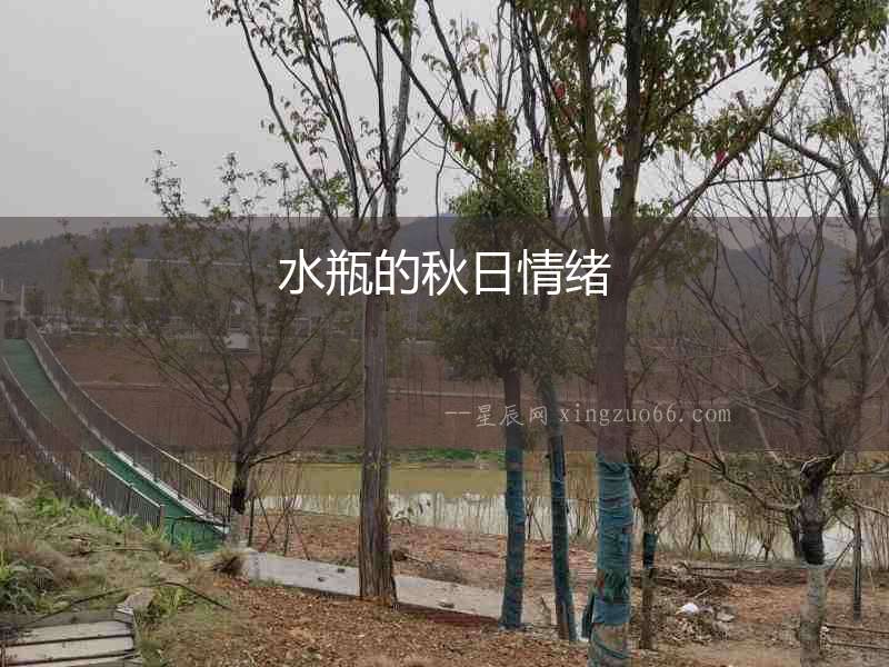 水瓶的秋日情緒