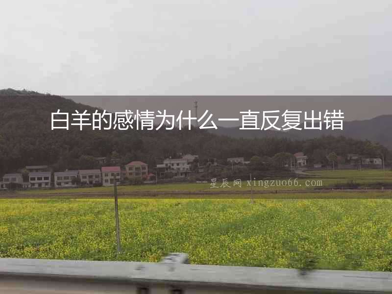 白羊的感情為什么一直反復(fù)出錯(cuò)