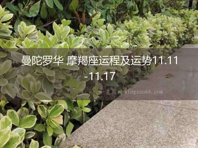 曼陀羅華 摩羯座運程及運勢11.11-11.17