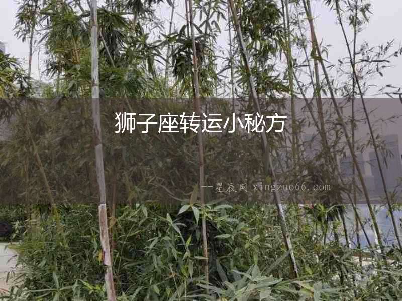獅子座轉運小秘方
