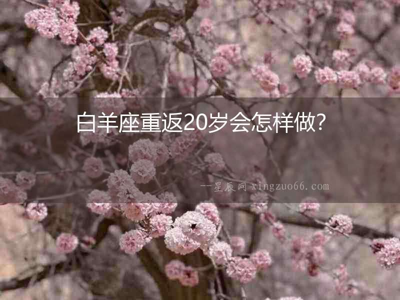 白羊座重返20歲會怎樣做？