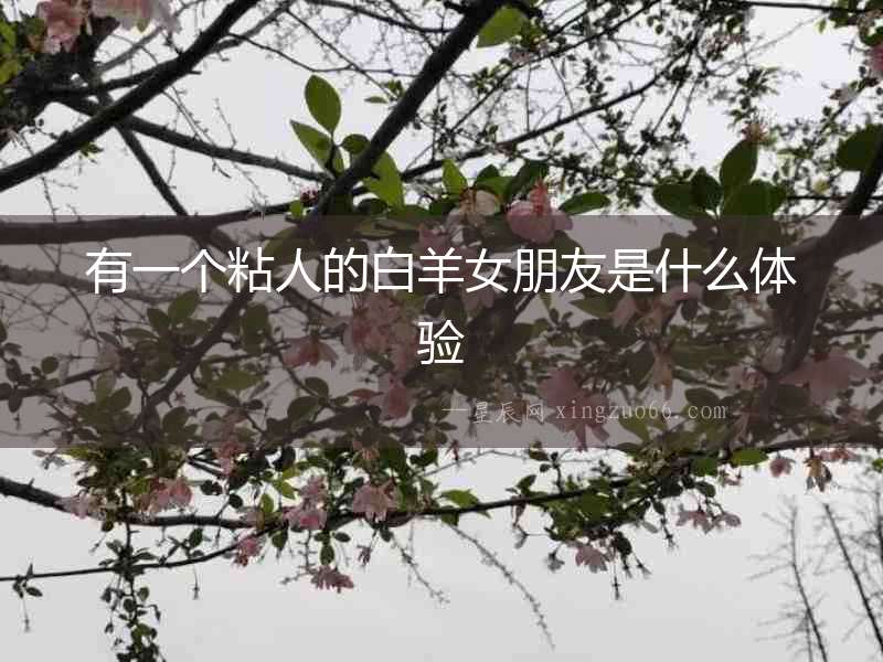 有一個粘人的白羊女朋友是什么體驗