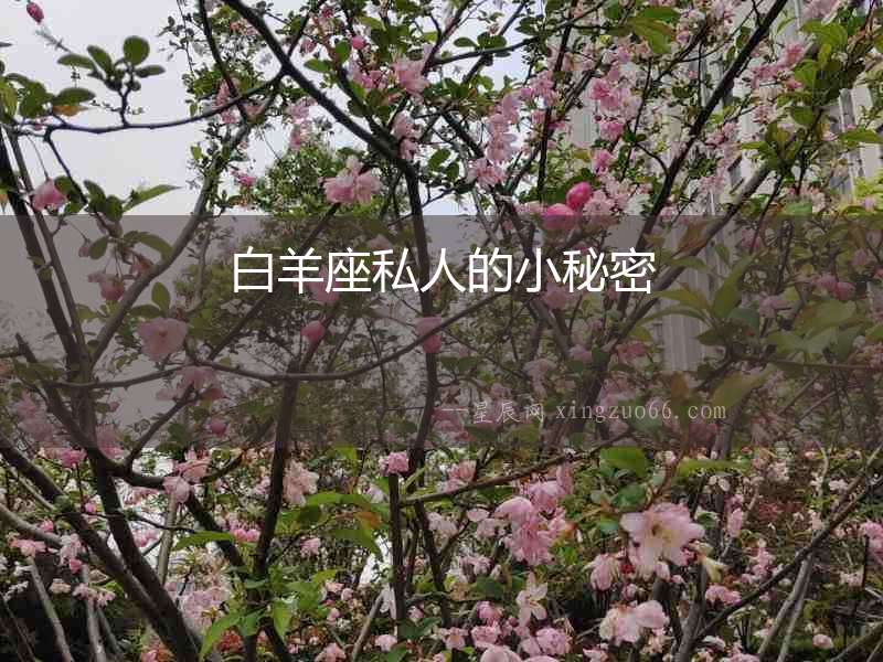 白羊座私人的小秘密