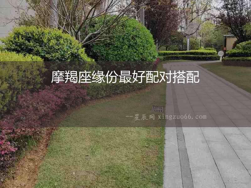 摩羯座緣份最好配對搭配