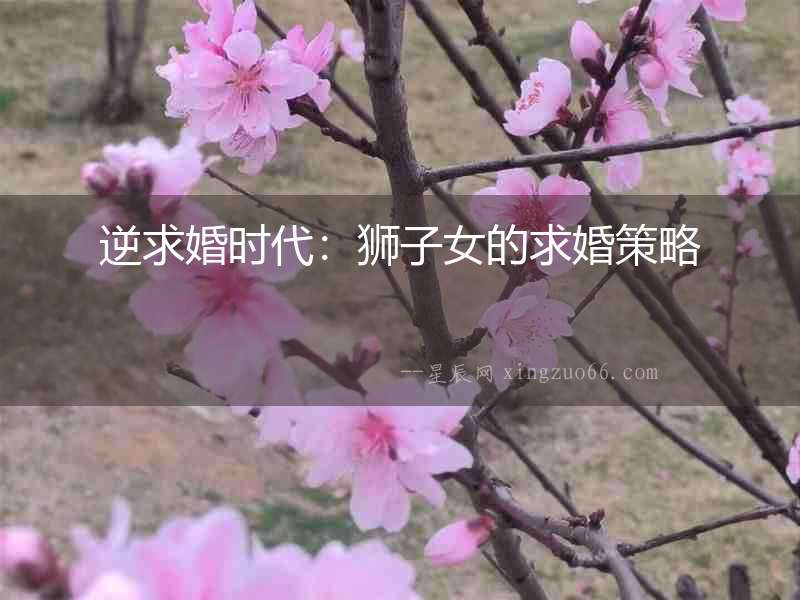 逆求婚時代：獅子女的求婚策略
