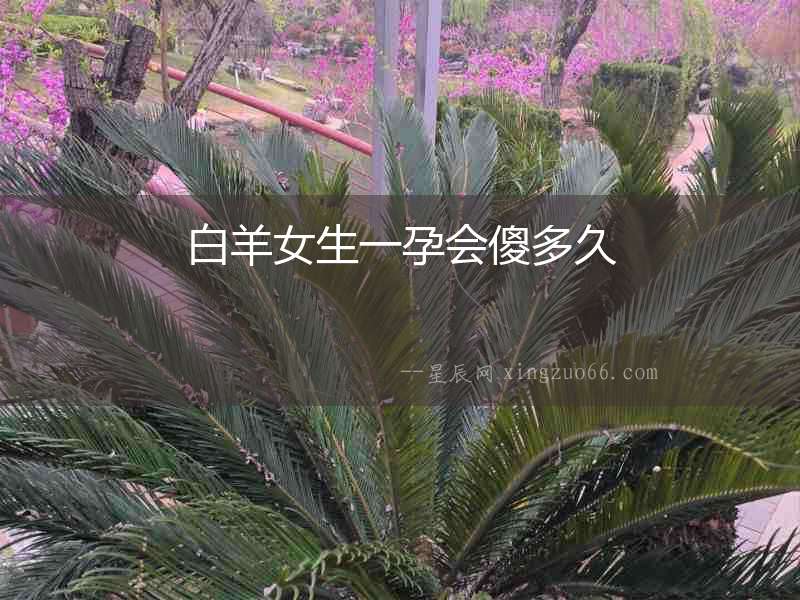 白羊女生一孕會(huì)傻多久