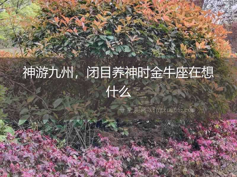 神游九州，閉目養神時金牛座在想什么