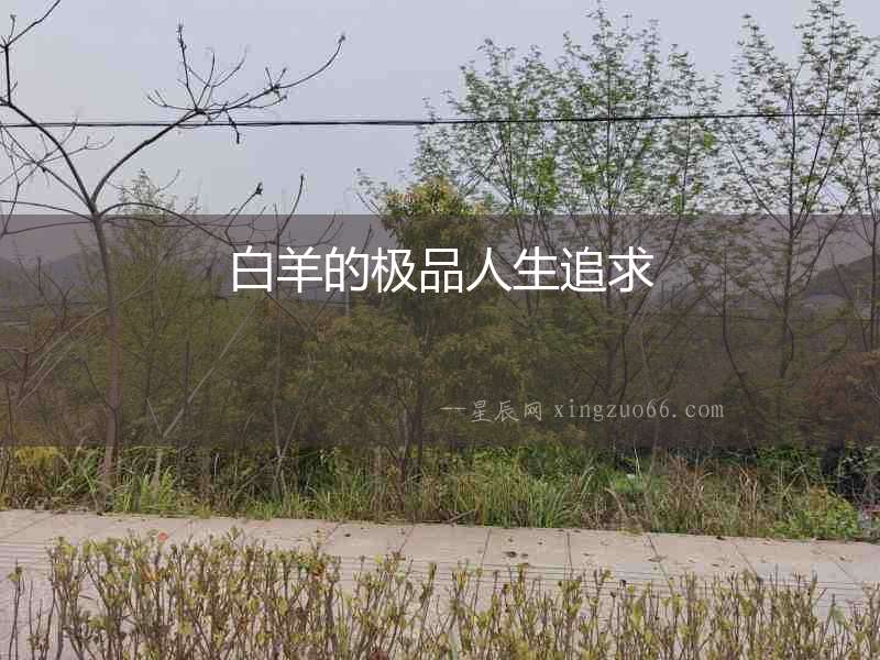 白羊的極品人生追求