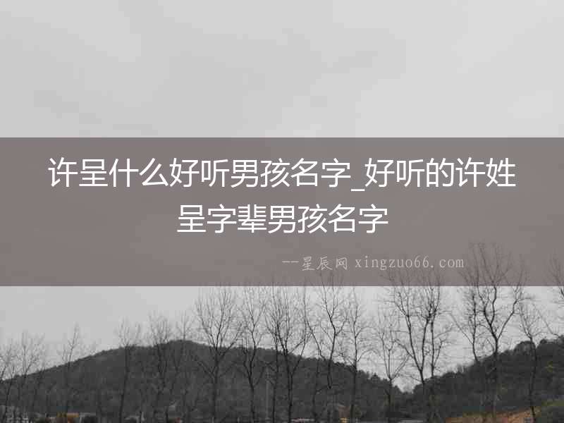 許呈什么好聽男孩名字_好聽的許姓呈字輩男孩名字