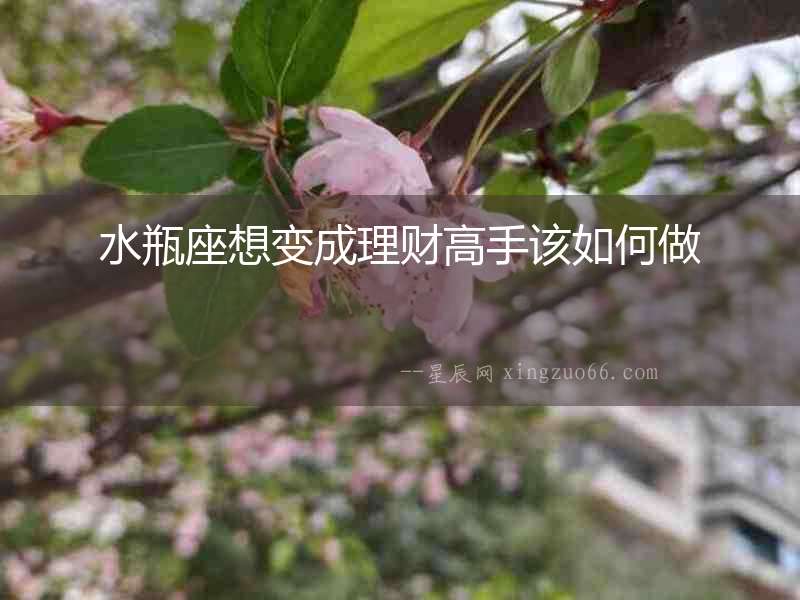 水瓶座想變成理財高手該如何做