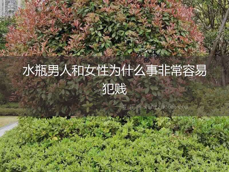 水瓶男人和女性為什么事非常容易犯賤