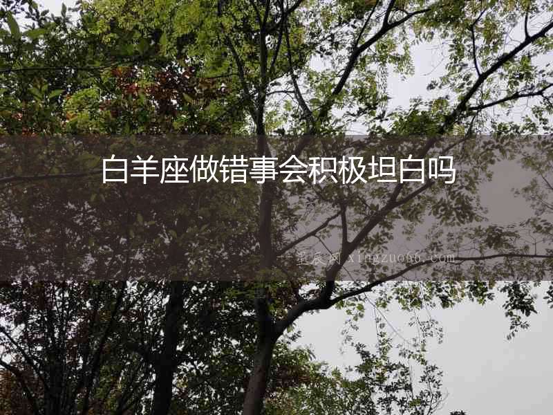 白羊座做錯事會積極坦白嗎