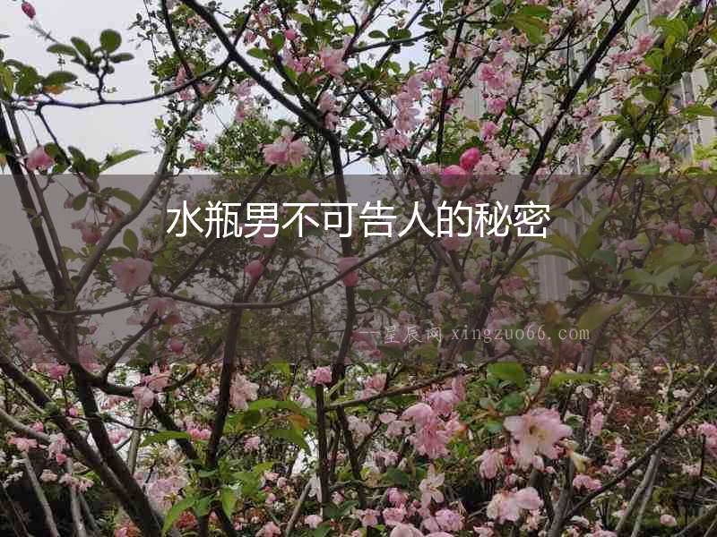 水瓶男不可告人的秘密