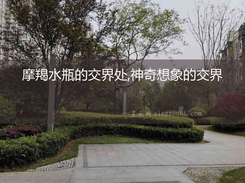 摩羯水瓶的交界處,神奇想象的交界