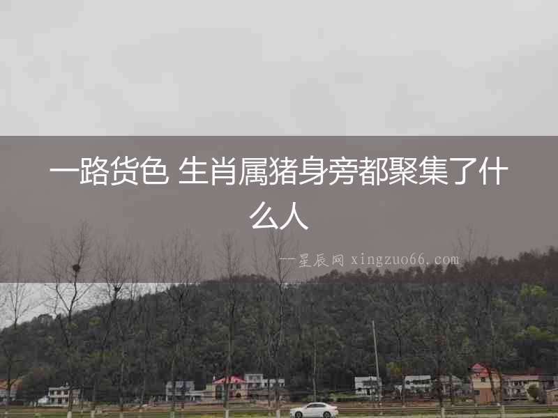 一路貨色 生肖屬豬身旁都聚集了什么人