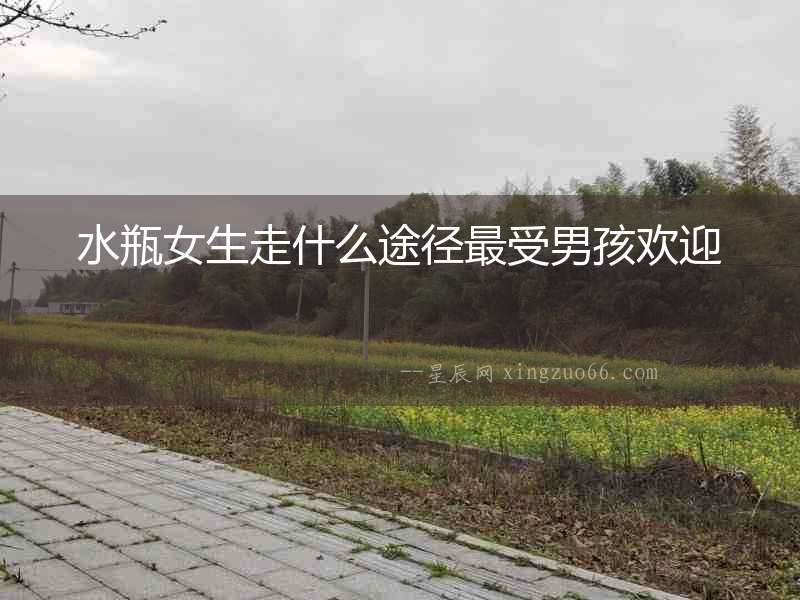 水瓶女生走什么途徑最受男孩歡迎