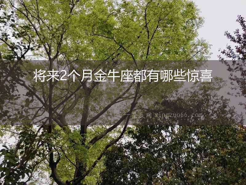 將來2個月金牛座都有哪些驚喜
