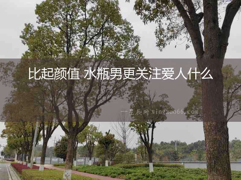 比起顏值 水瓶男更關注愛人什么