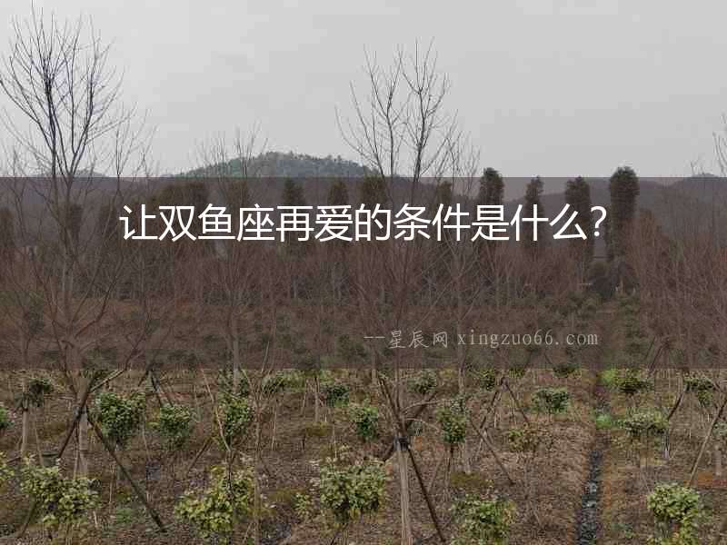 讓雙魚(yú)座再愛(ài)的條件是什么？