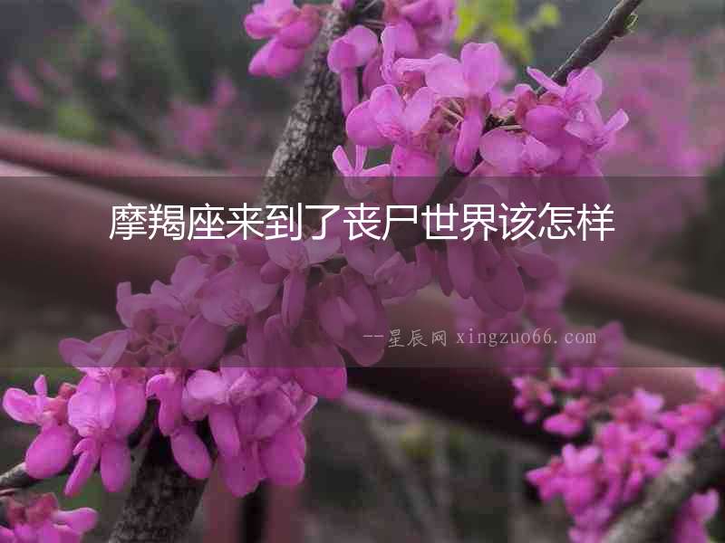 摩羯座來到了喪尸世界該怎樣