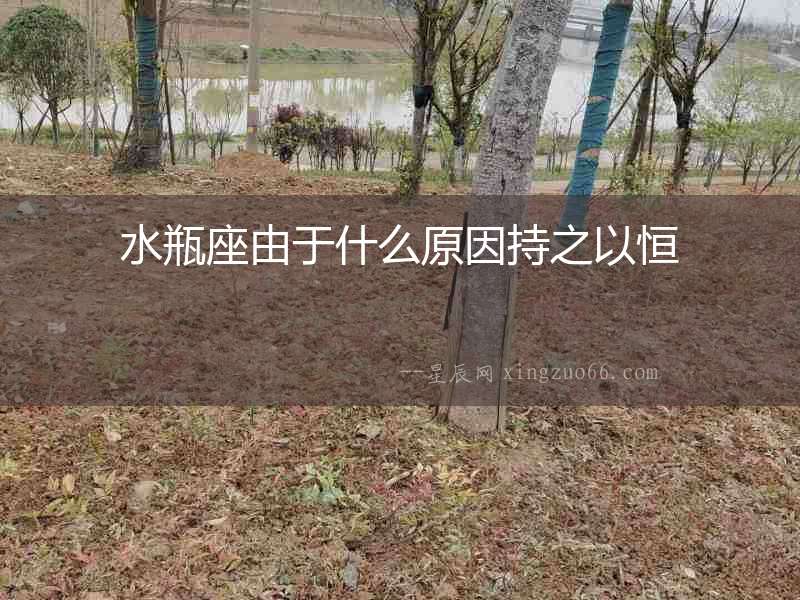 水瓶座由于什么原因持之以恒