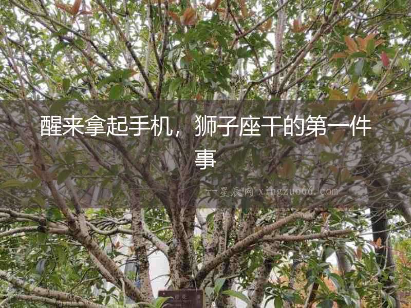 醒來(lái)拿起手機(jī)，獅子座干的第一件事