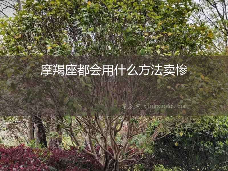 摩羯座都會用什么方法賣慘