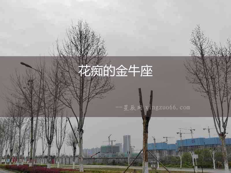 花癡的金牛座