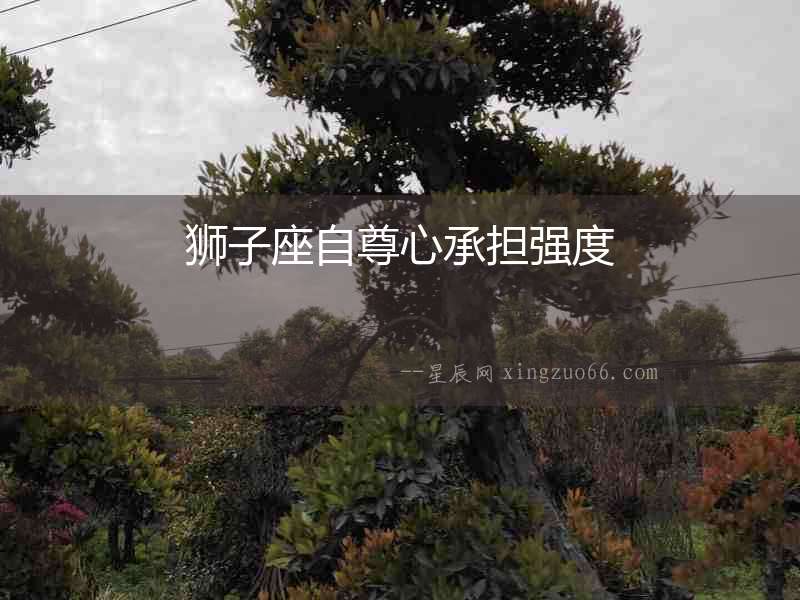 獅子座自尊心承擔(dān)強(qiáng)度