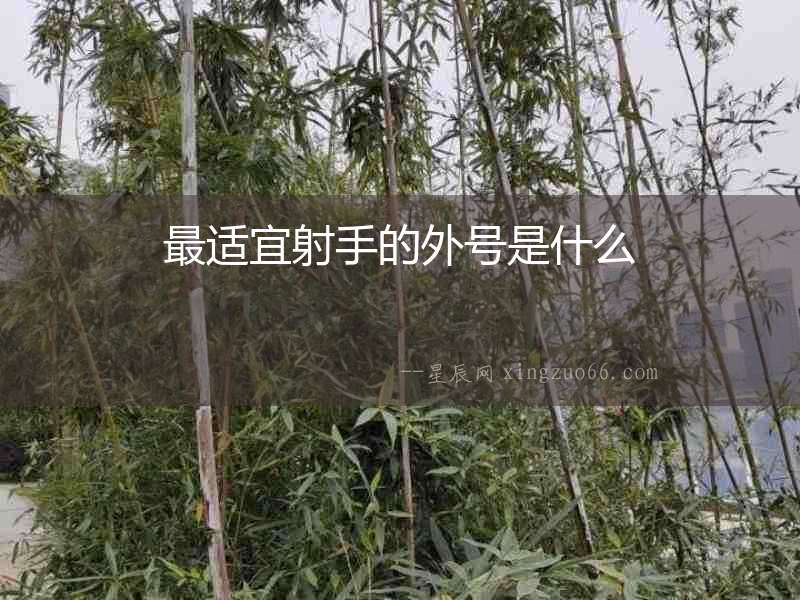 最適宜射手的外號(hào)是什么