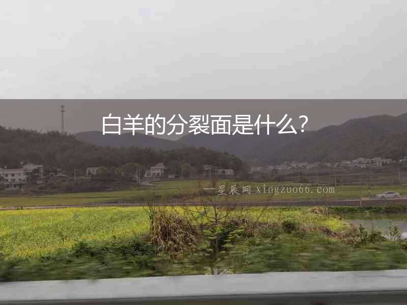 白羊的分裂面是什么？
