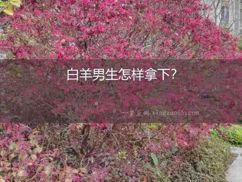白羊男生怎樣拿下？