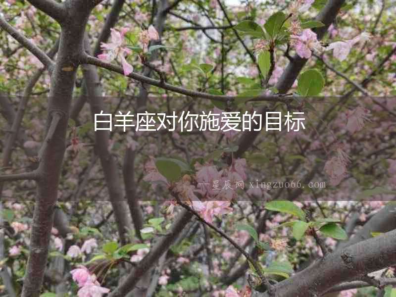 白羊座對你施愛的目標