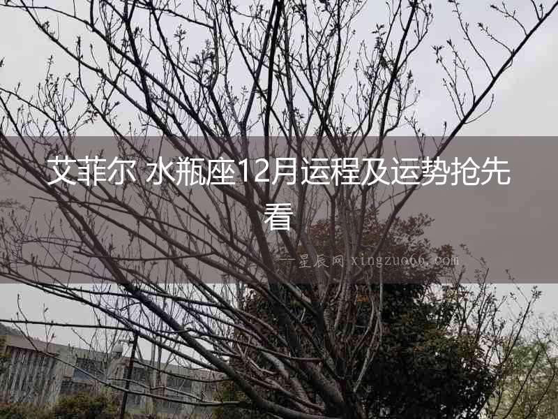 艾菲爾 水瓶座12月運程及運勢搶先看